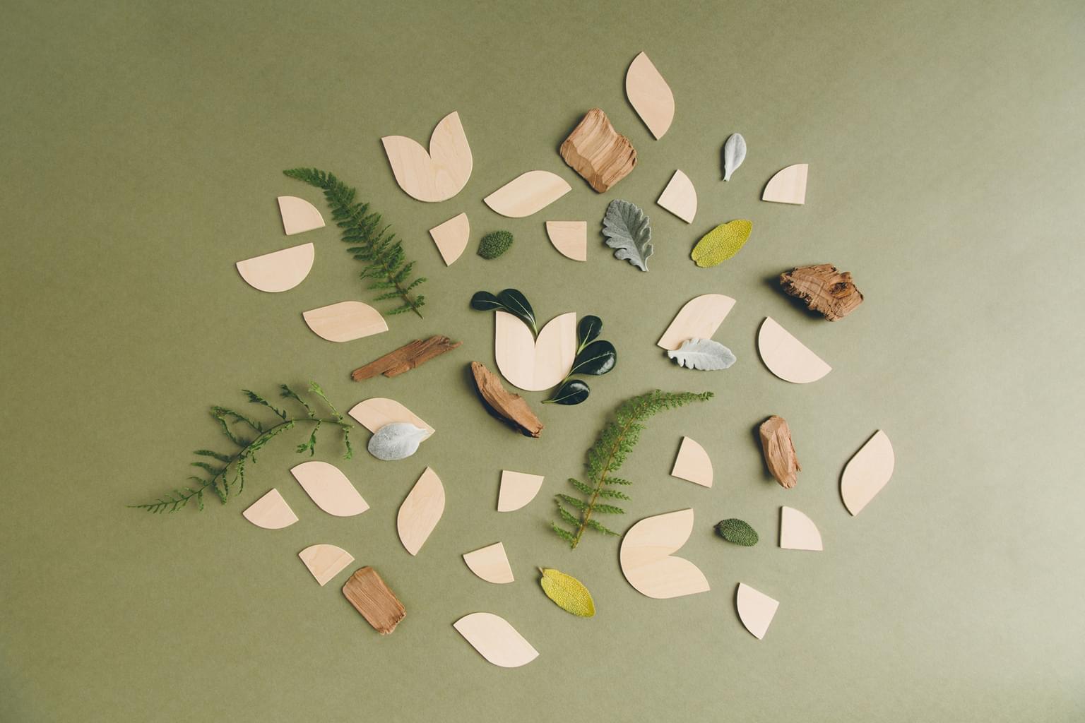 Assorted shapes, twigs, leaves and natural elements arranged in a pattern